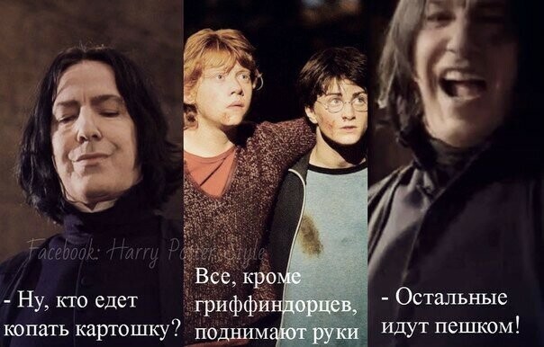30 приколов про серию Поттерианы