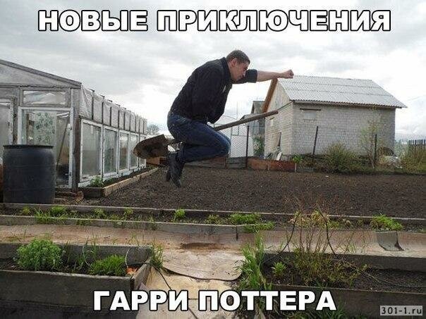 30 приколов про серию Поттерианы