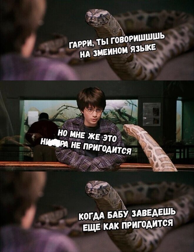 30 приколов про серию Поттерианы