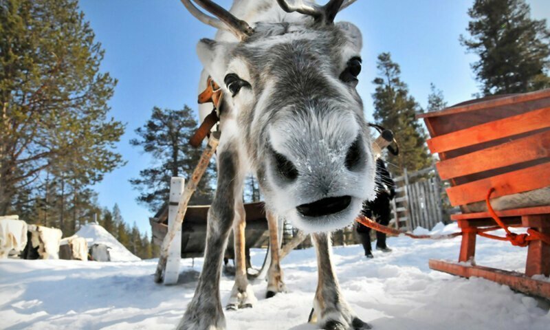 Россия опустилась на девять строчек в рейтинге самых счастливых стран мира