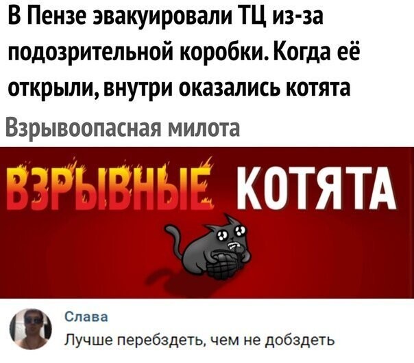 Прикольные и смешные картинки