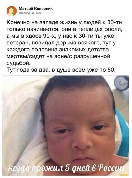 Прикольные и смешные картинки