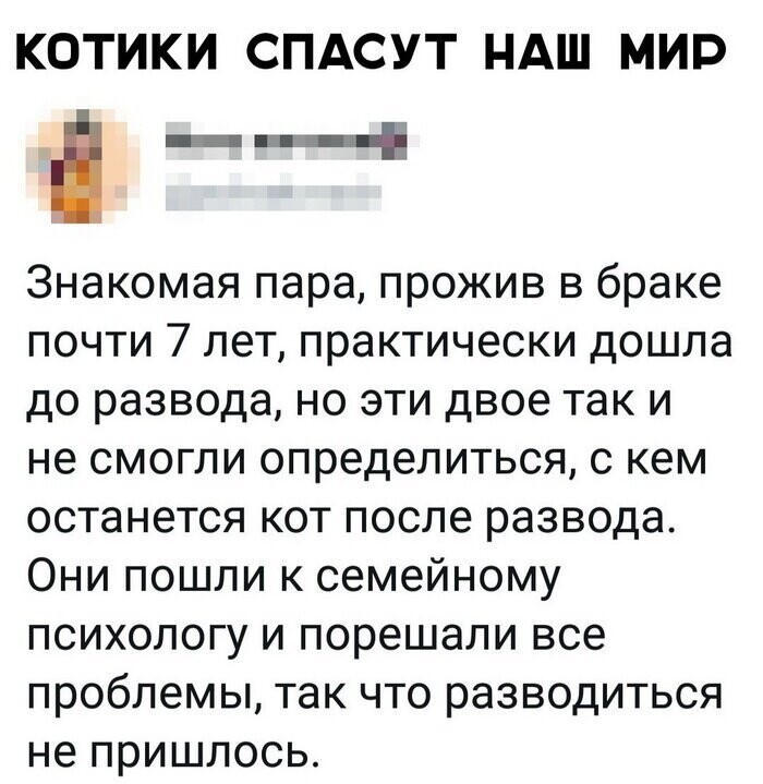 Скрины из социальных сетей