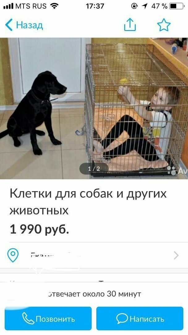 Описания радуют