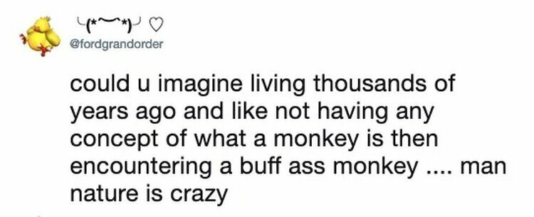 "Представьте, как тысячи лет назад люди не представляли о том, что такое обезьяна в принципе, и вдруг встретили бы эту обезьяну... черт, природа - сумасшедшая штука," - написал другой