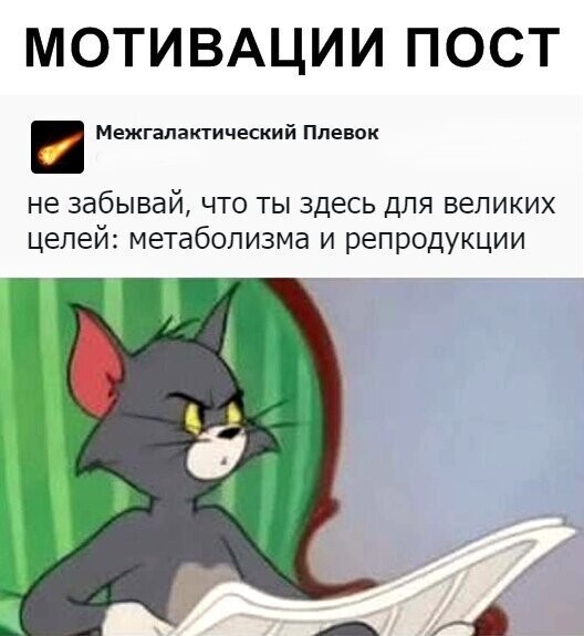 Скрины из социальных сетей