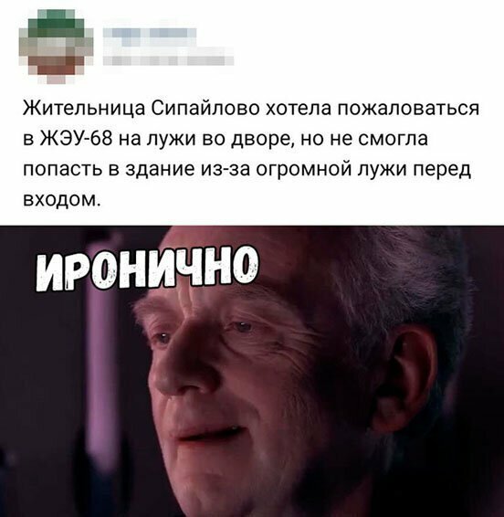 Прикольные и смешные картинки