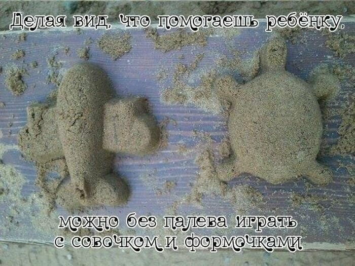 Прикольные и смешные картинки