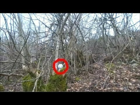 Странное существо напугало лесника 