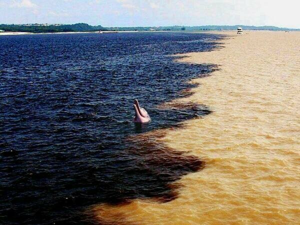 10. «Так выглядит место слияния Амазонки и Риу-Негру в Бразилии. Разный цвет воды обусловлен разными почвами»