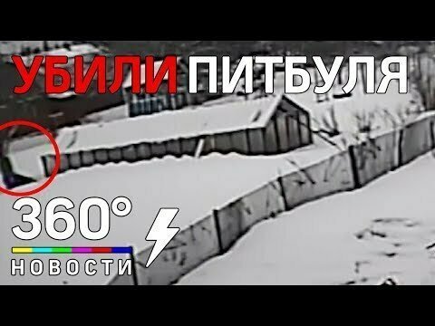 У жителя Подмосковья соседи зарезали собаку 