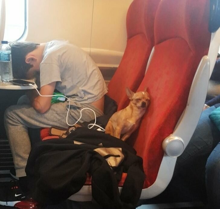 Два уставших приятеля в поезде на пути в Манчестер