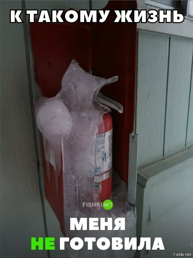 К такому жизнь меня не готовила