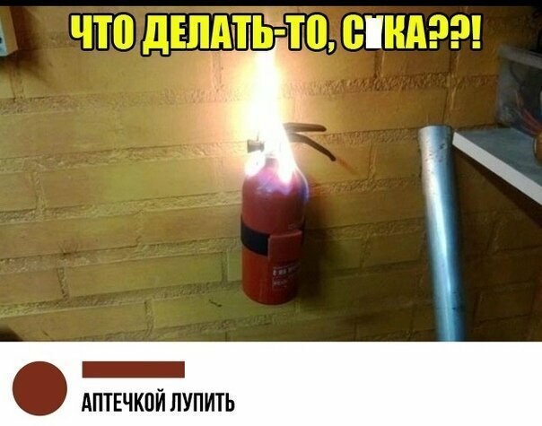 Прикольные и смешные картинки