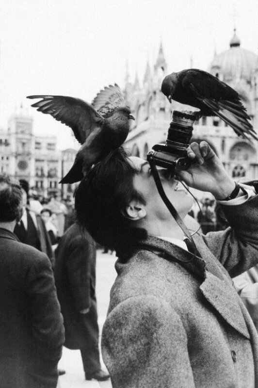 Ален Делон и голуби, 1962