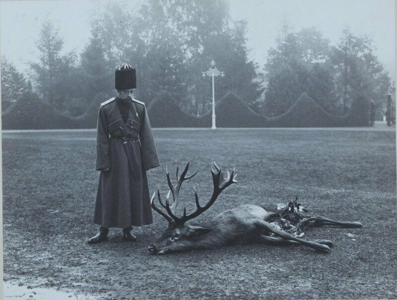 Император Николай II около убитого оленя. Российская империя. Сентябрь 1912 года.