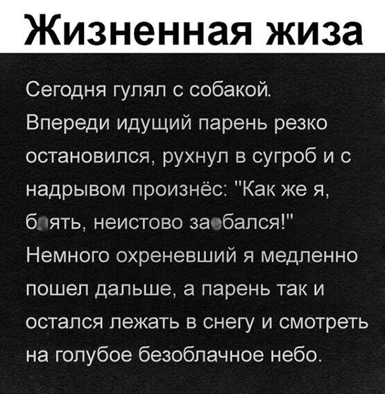 Прикольные и смешные картинки