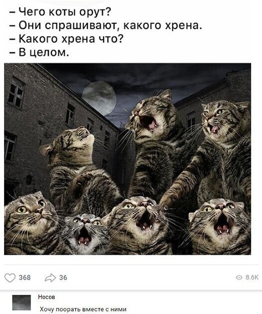 Прикольные и смешные картинки