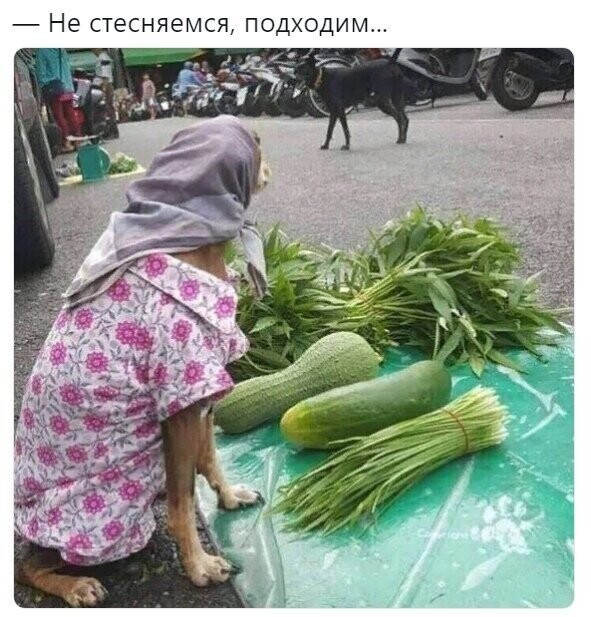 Картинки с надписями