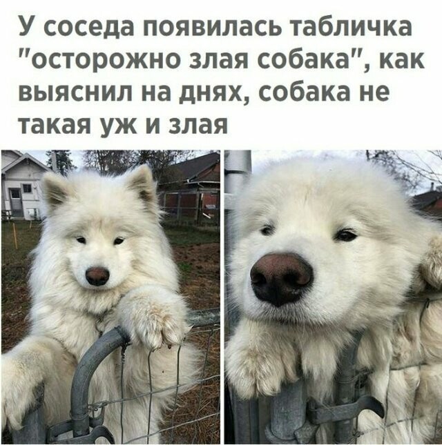 Намешалось