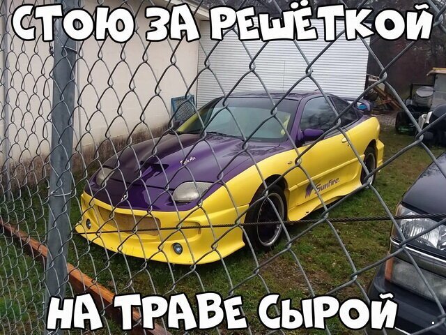 Автовсячина