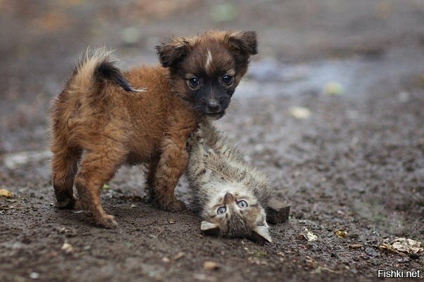 Поиграли мы немножко