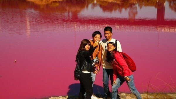 В Австралии одно из озер стало розовым