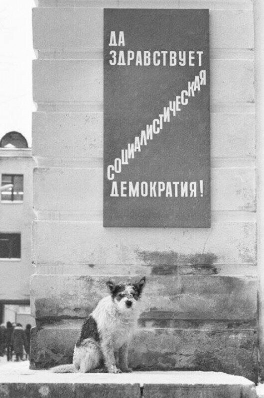 Москва, 1974. Фото Игоря Пальмина.