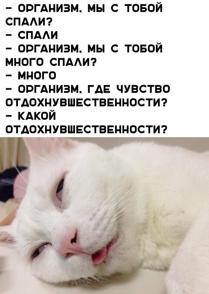 Скрины из социальных сетей