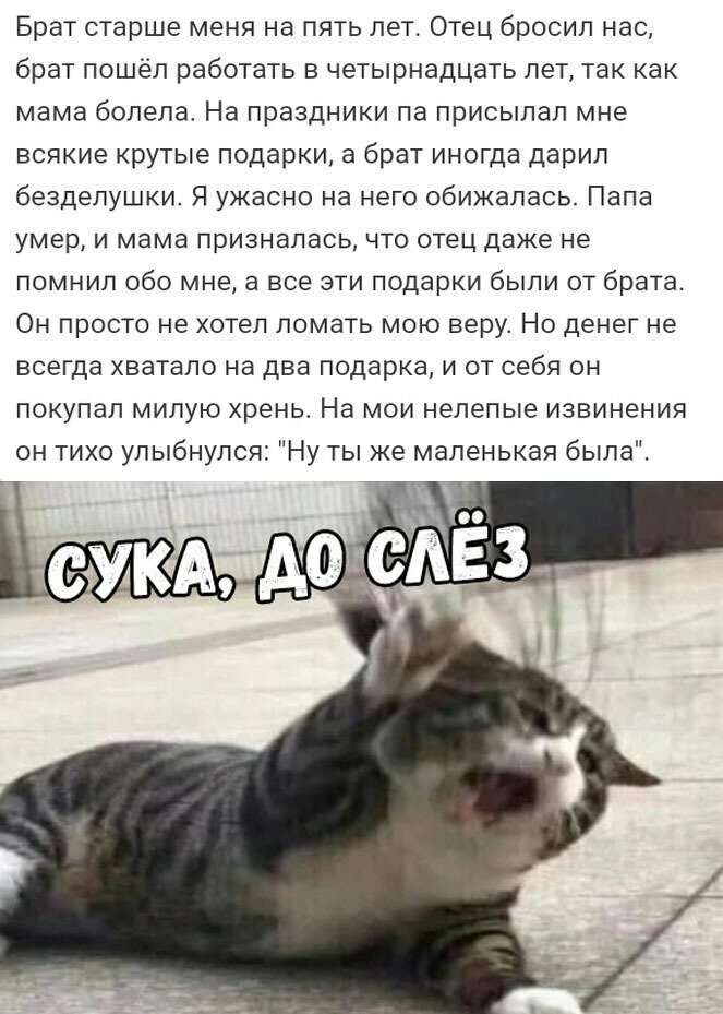 Скрины из социальных сетей