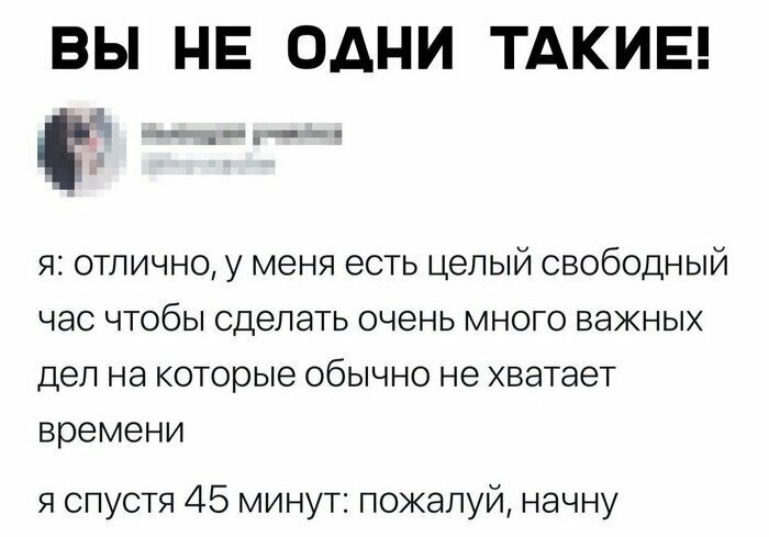 Скрины из социальных сетей