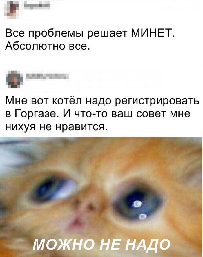 Скрины из социальных сетей