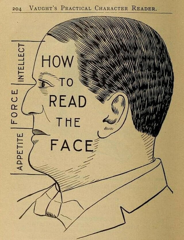 Как френология учит читать людей. «Практический считыватель характера» 1902 года