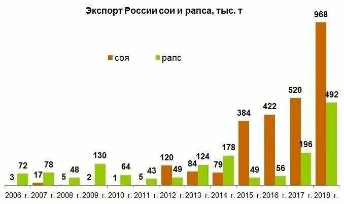 Проклятый Путин