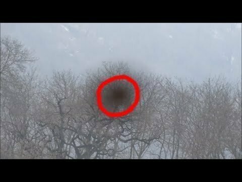 НЛО Замечено в аномальном лесу в сибири 1 апреля 2019 
