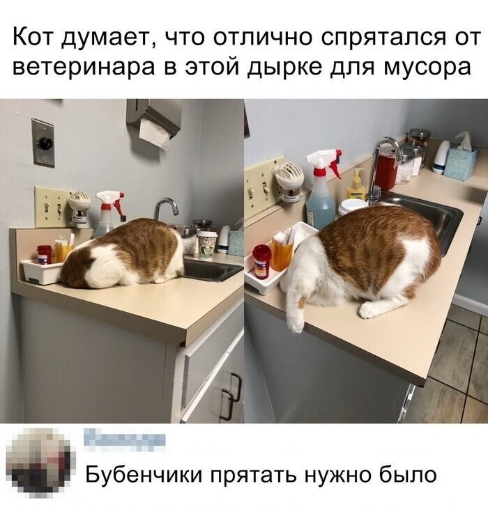 Скрины из социальных сетей