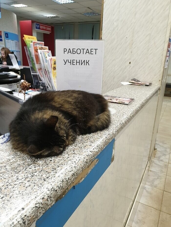 Ученик за работой