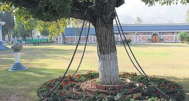 13. В Пакистане есть арестованное дерево