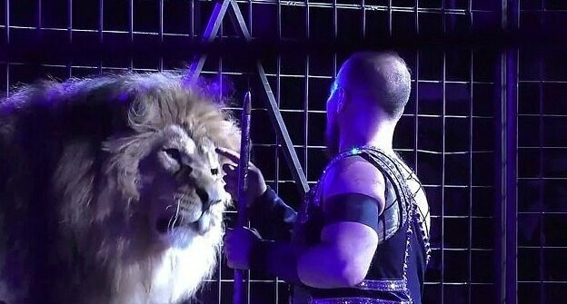 Ужас в луганском цирке: лев напал на дрессировщика