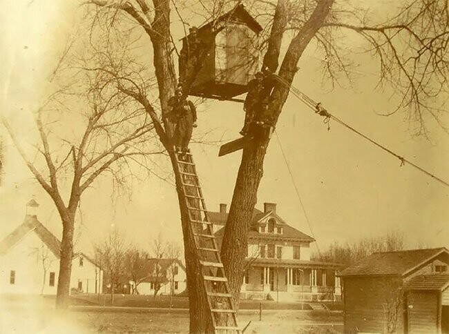 6. Домик на дереве, ок. 1900 г.