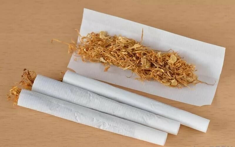 Какой табак посадить. Как выращивать табак - что нужно для получения насыщенного аромата? Пошаговая