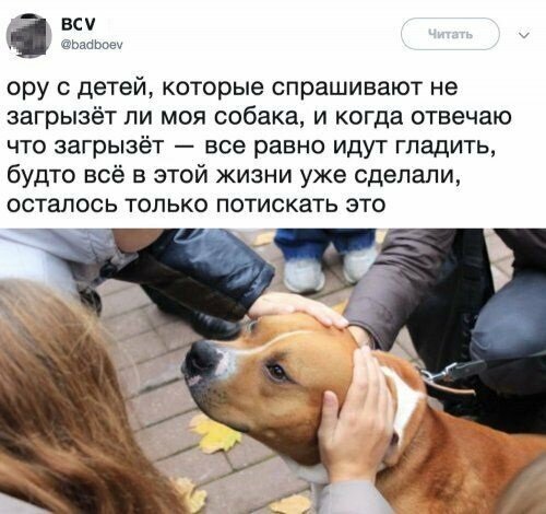 Прикольные и смешные картинки