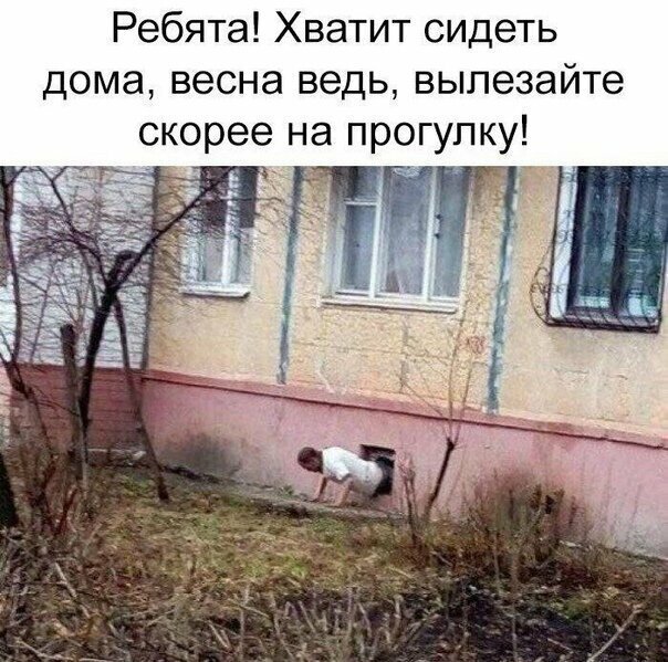 Прикольные и смешные картинки