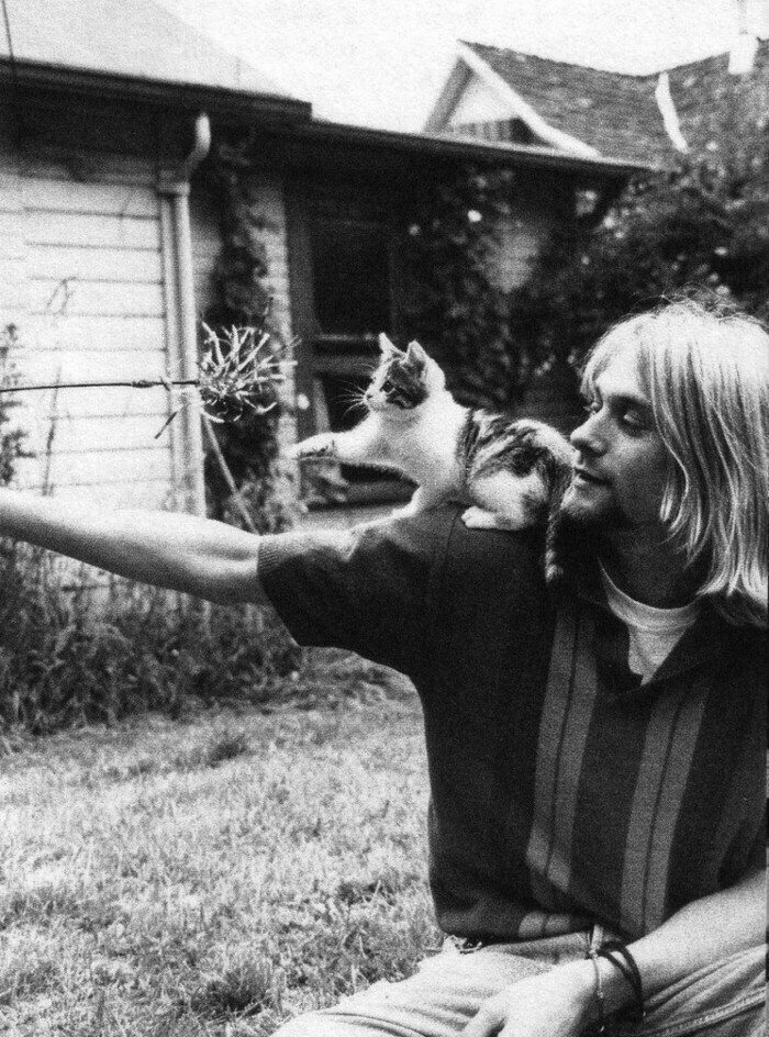 21. Вокалист рок-группы Nirvana Курт Кобейн с котенком.