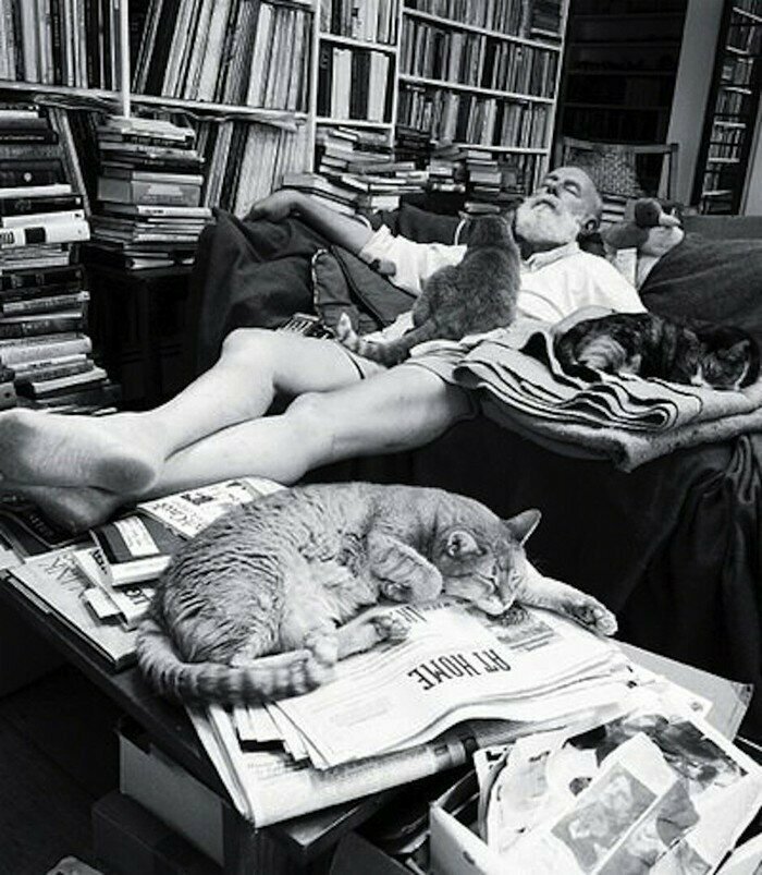 4. Американский художник Эдвард Гори обожал котов.