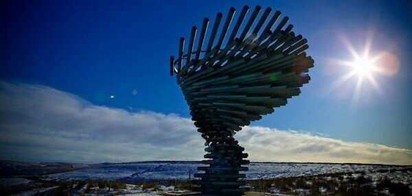 Singing Ringing Tree – Поющее и звенящее дерево