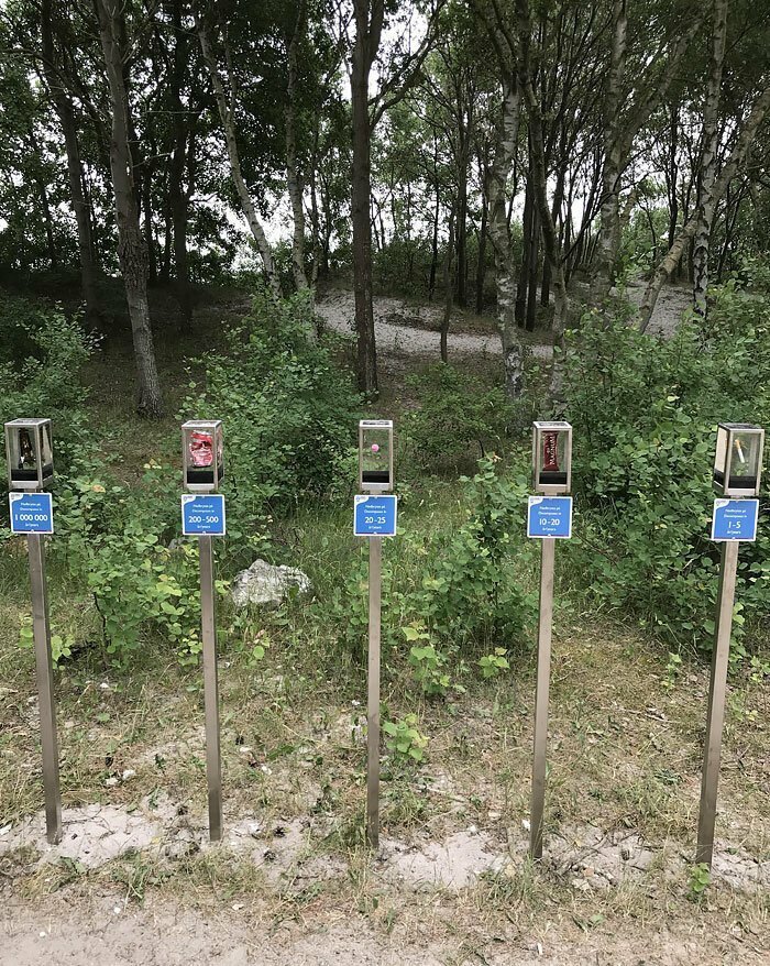 На этом пляже местные власти устроили выставку, разместив на ней образцы наиболее часто встречающегося мусора и указав время, за которое он сгниет. Любителям мусорить на пляжах это пригодится!