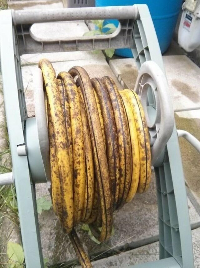17. Залежавшийся банан