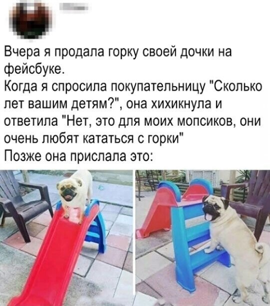 Прикольные и смешные картинки