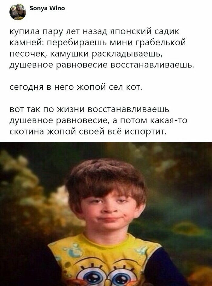 Скрины из социальных сетей